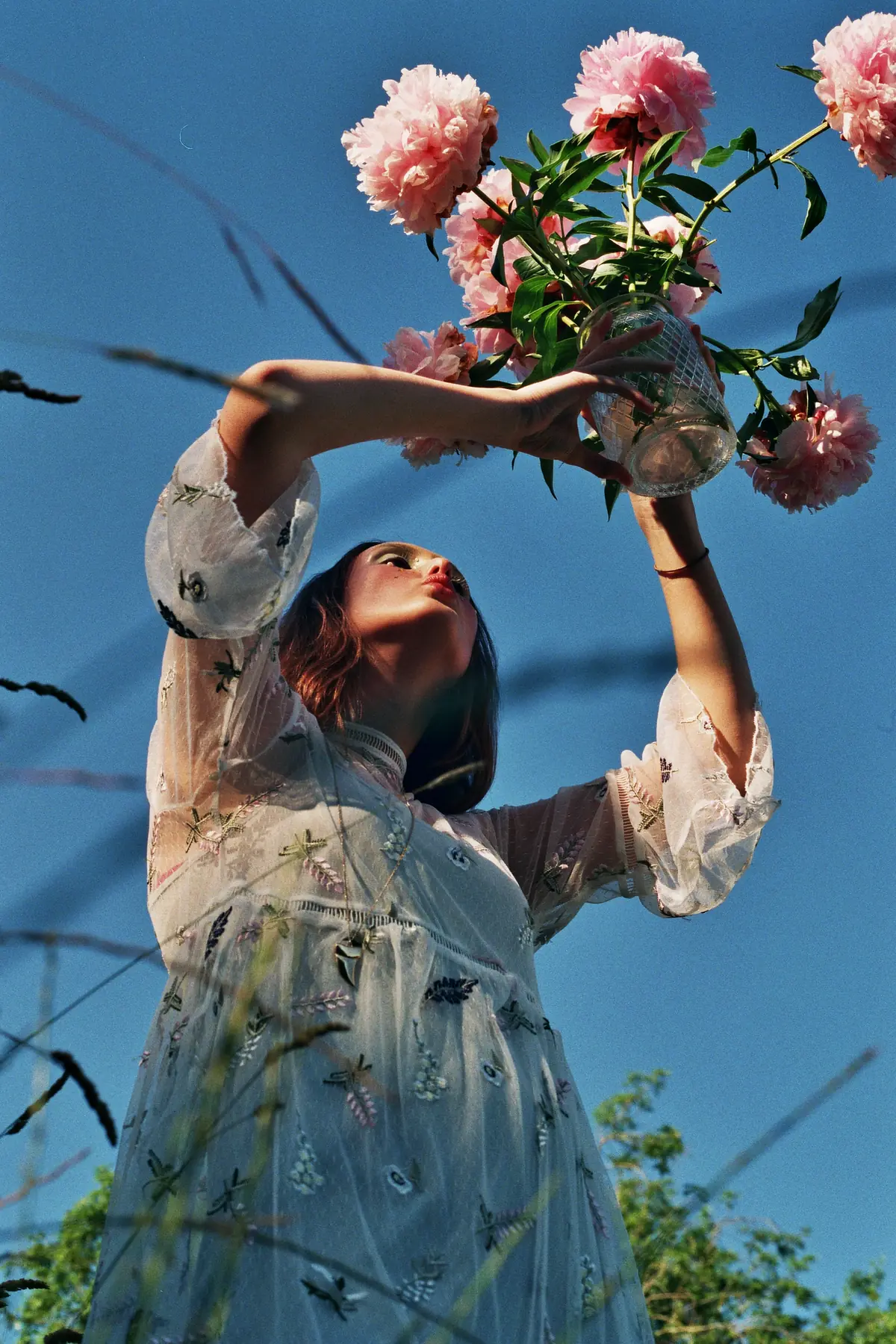 Peonies